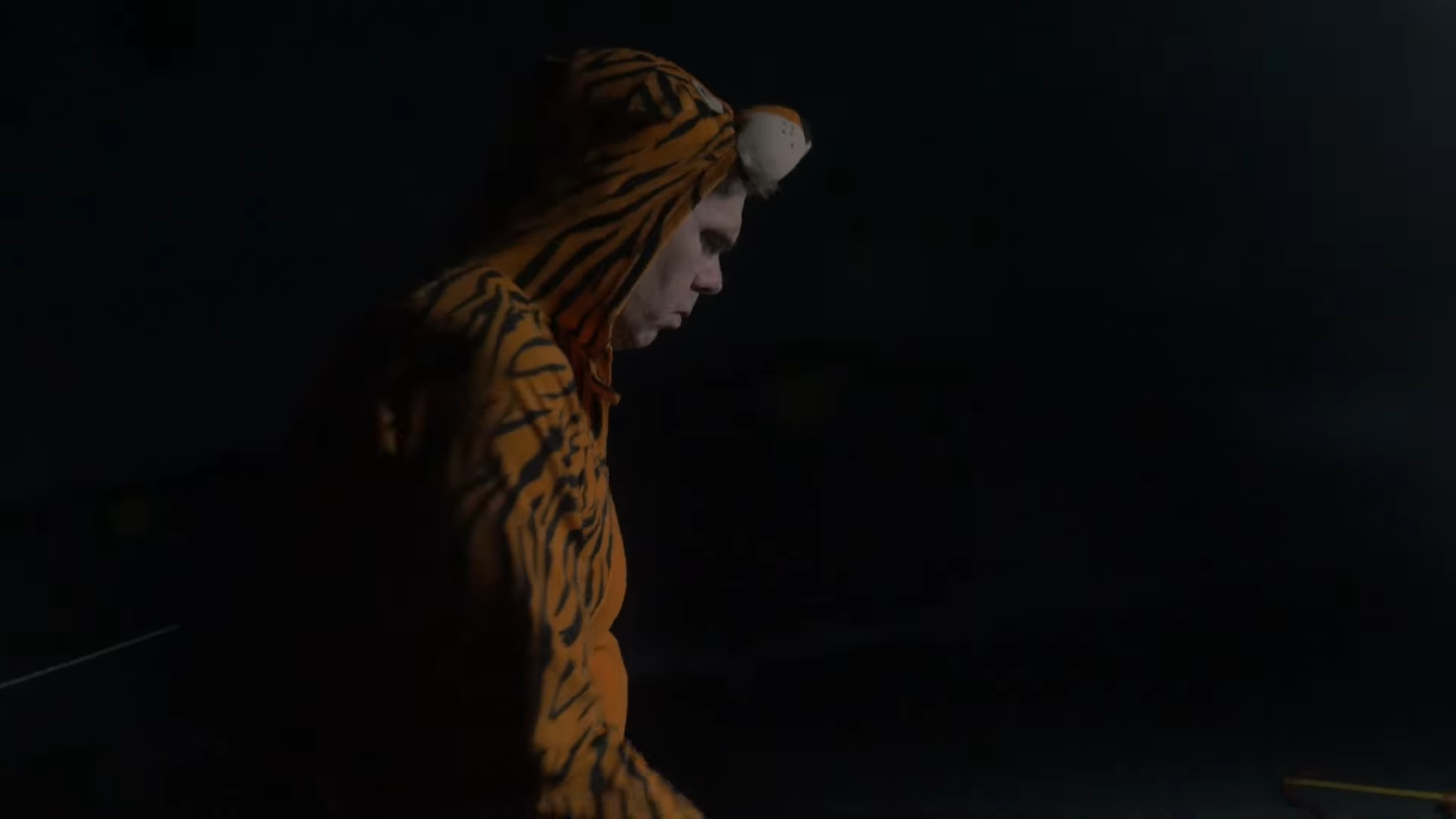 Stillbild ur Nån Väckte Tigern I Mig, person i tigerdräkt mot svart bakgrund